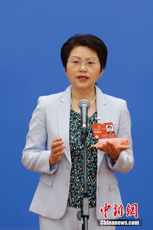 
北京中医药大学东直门医院黄牛代挂号电话票贩子号贩子网上预约挂号,住院检查加快,（两会现场）“代表通道”再启，讲述前进中的中国