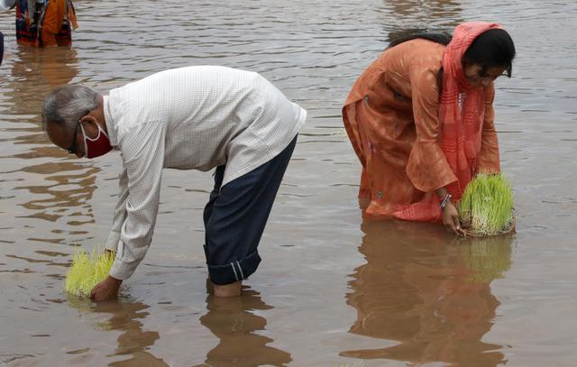 
北京各大医院黄牛代挂号电话票贩子号贩子网上预约挂号,住院检查加快,印度消除贫困，到底难在哪里