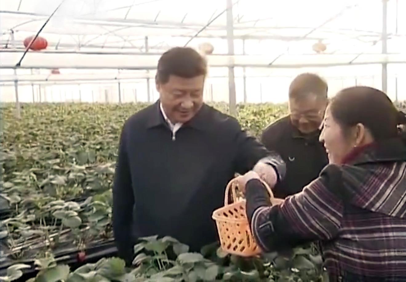 
长沙各大医院黄牛代挂号电话票贩子号贩子网上预约挂号,住院检查加快,习近平两会时刻丨“像魏巧这样的同志到农村去，很好！”