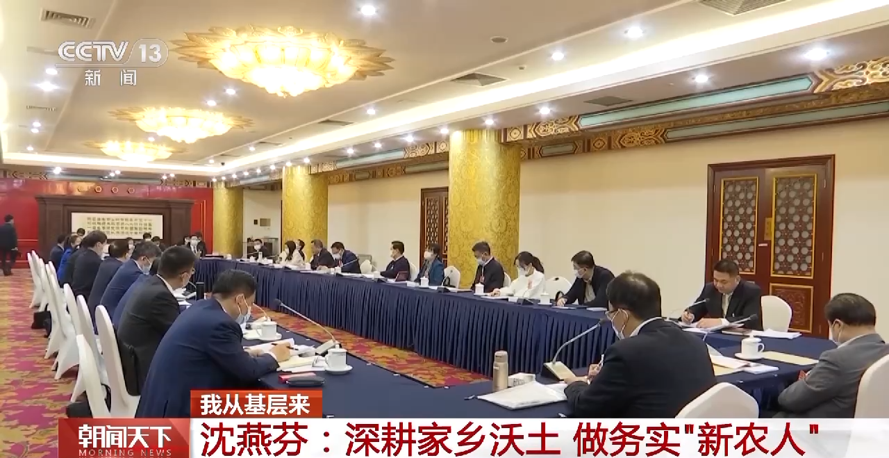 
北京同仁医院黄牛代挂号电话票贩子号贩子网上预约挂号,住院检查加快,我从基层来丨贡献巾帼力量 她们为推进乡村振兴建言献策