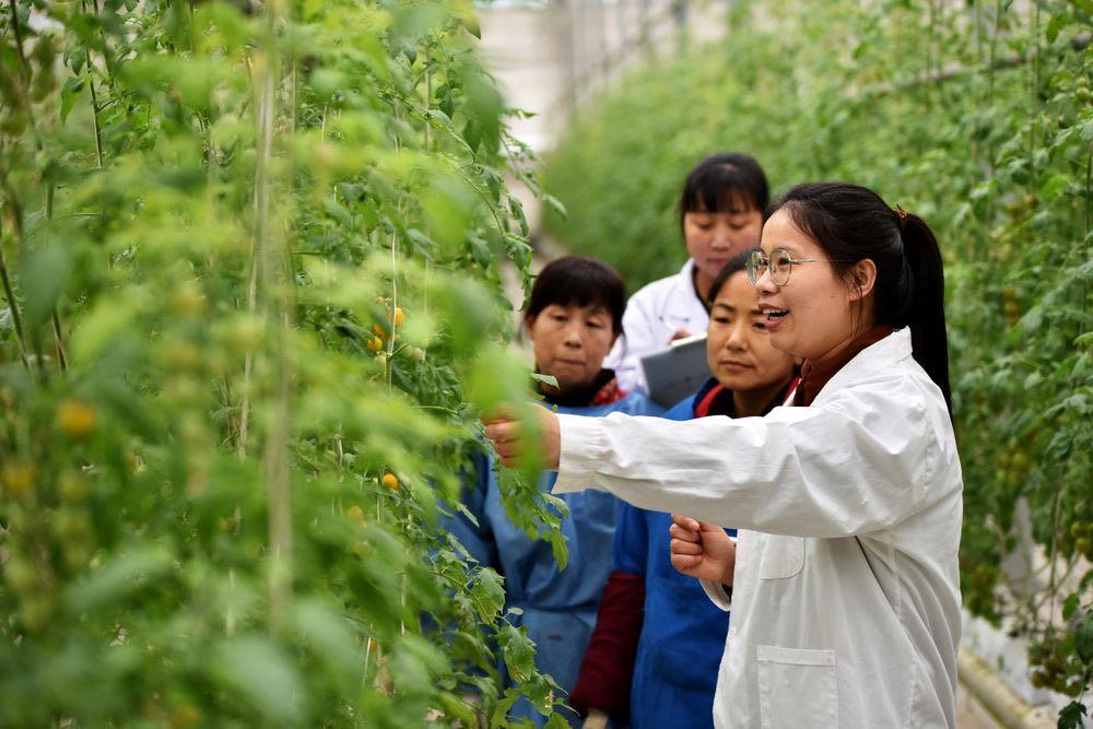
长沙各大医院黄牛代挂号电话票贩子号贩子网上预约挂号,住院检查加快,习近平两会时刻丨“像魏巧这样的同志到农村去，很好！”