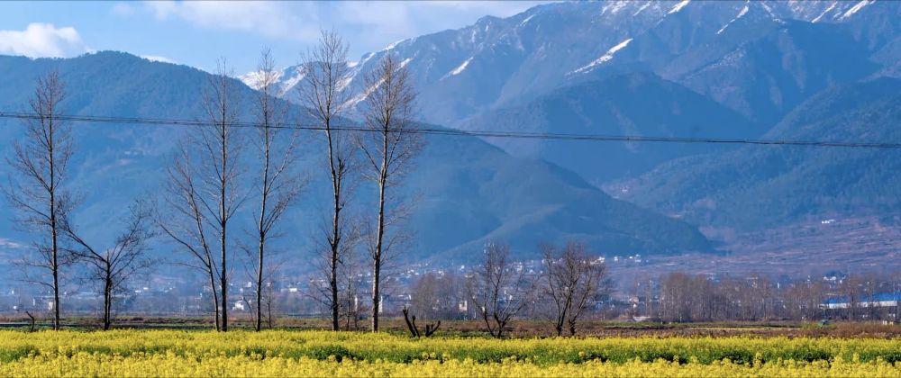 
首都医科大学附属天坛医院黄牛代挂号电话票贩子号贩子网上预约挂号,住院检查加快,微视频｜美丽中国新画卷