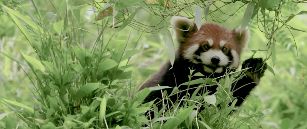 
首都医科大学附属天坛医院黄牛代挂号电话票贩子号贩子网上预约挂号,住院检查加快,微视频｜美丽中国新画卷