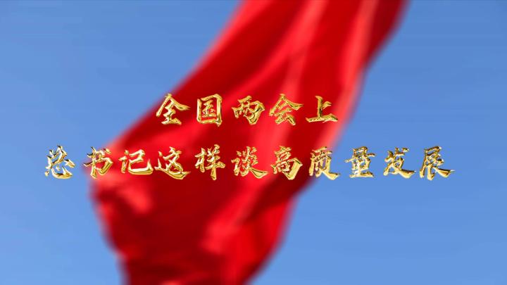 
回龙观医院黄牛代挂号电话票贩子号贩子网上预约挂号,住院检查加快,全国两会上，总书记这样谈高质量发展