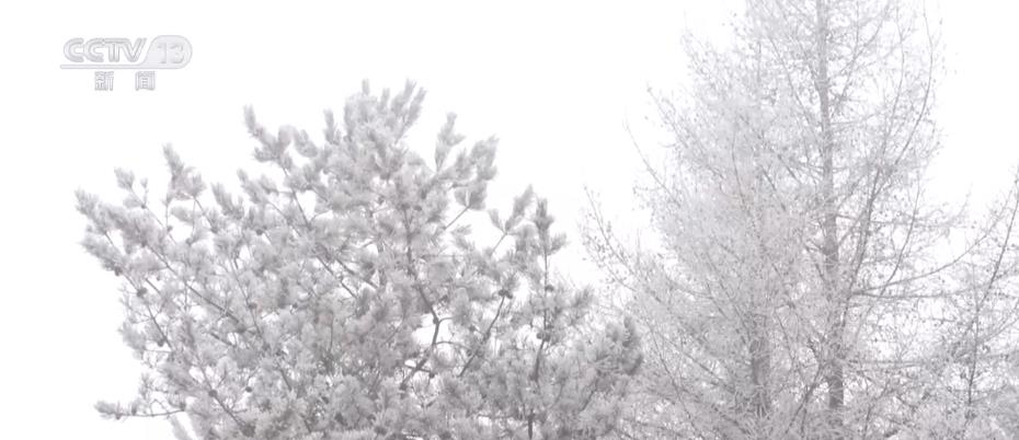 
广州口腔医院黄牛代挂号电话票贩子号贩子网上预约挂号,住院检查加快,我从基层来 | 筑牢西北生态安全屏障