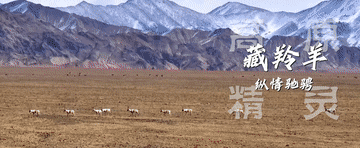 
首都医科大学附属天坛医院黄牛代挂号电话票贩子号贩子网上预约挂号,住院检查加快,微视频｜美丽中国新画卷