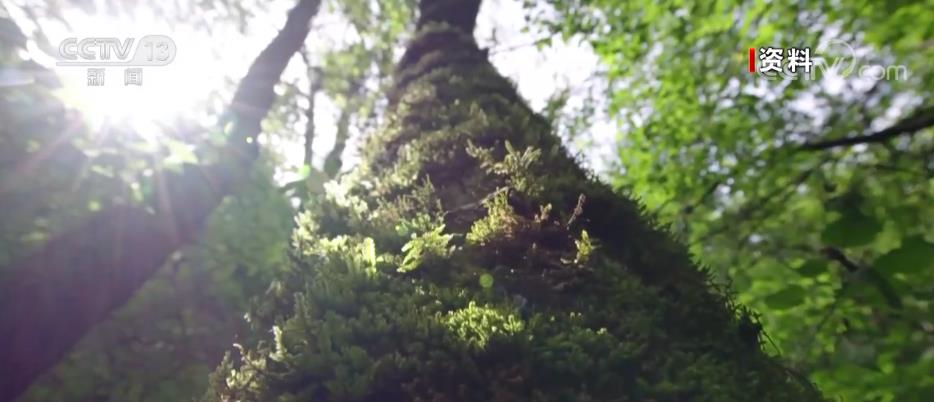 
广州口腔医院黄牛代挂号电话票贩子号贩子网上预约挂号,住院检查加快,我从基层来 | 筑牢西北生态安全屏障