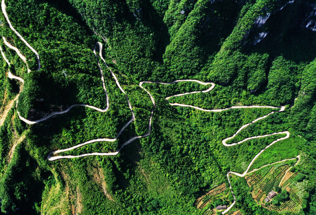 
北京大学第一医院黄牛代挂号电话票贩子号贩子网上预约挂号,住院检查加快,【世界看两会】 “更大力度吸引和利用外资” 外国高管和分析师持续看好中国经济：中国市场魅力不减