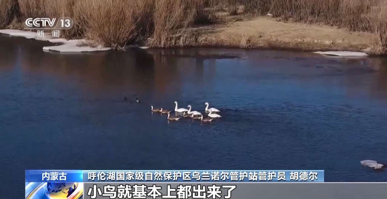 
中国中医科学院西苑黄牛代挂号电话票贩子号贩子网上预约挂号,住院检查加快,生机无限 呼伦贝尔迎大批迁徙候鸟