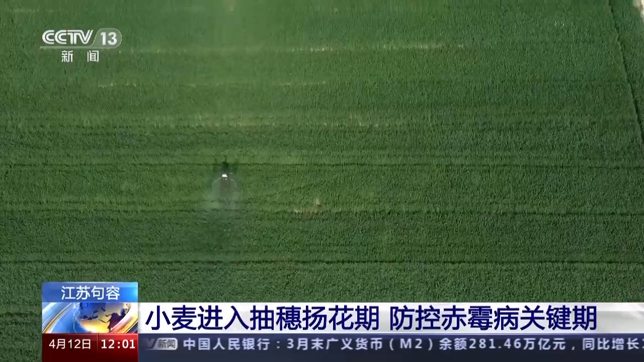 
回龙观医院黄牛代挂号电话票贩子号贩子网上预约挂号,住院检查加快,农业农村部：全国已春播粮食1.2亿亩 早稻育秧基本完成