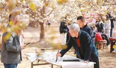 
杭州市妇幼保健院黄牛代挂号电话票贩子号贩子网上预约挂号,住院检查加快,国内游市场亮点迭出