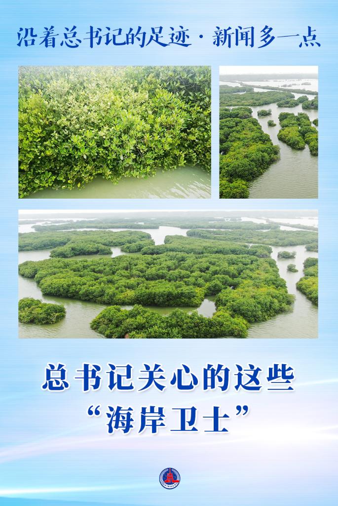 
浙江第二医院黄牛代挂号电话票贩子号贩子网上预约挂号,住院检查加快,沿着总书记的足迹·新闻多一点丨总书记关心的这些“海岸卫士”