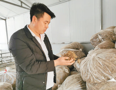 
南京市第一医院黄牛代挂号电话票贩子号贩子网上预约挂号,住院检查加快,为乡村振兴积蓄力量（一线调研）