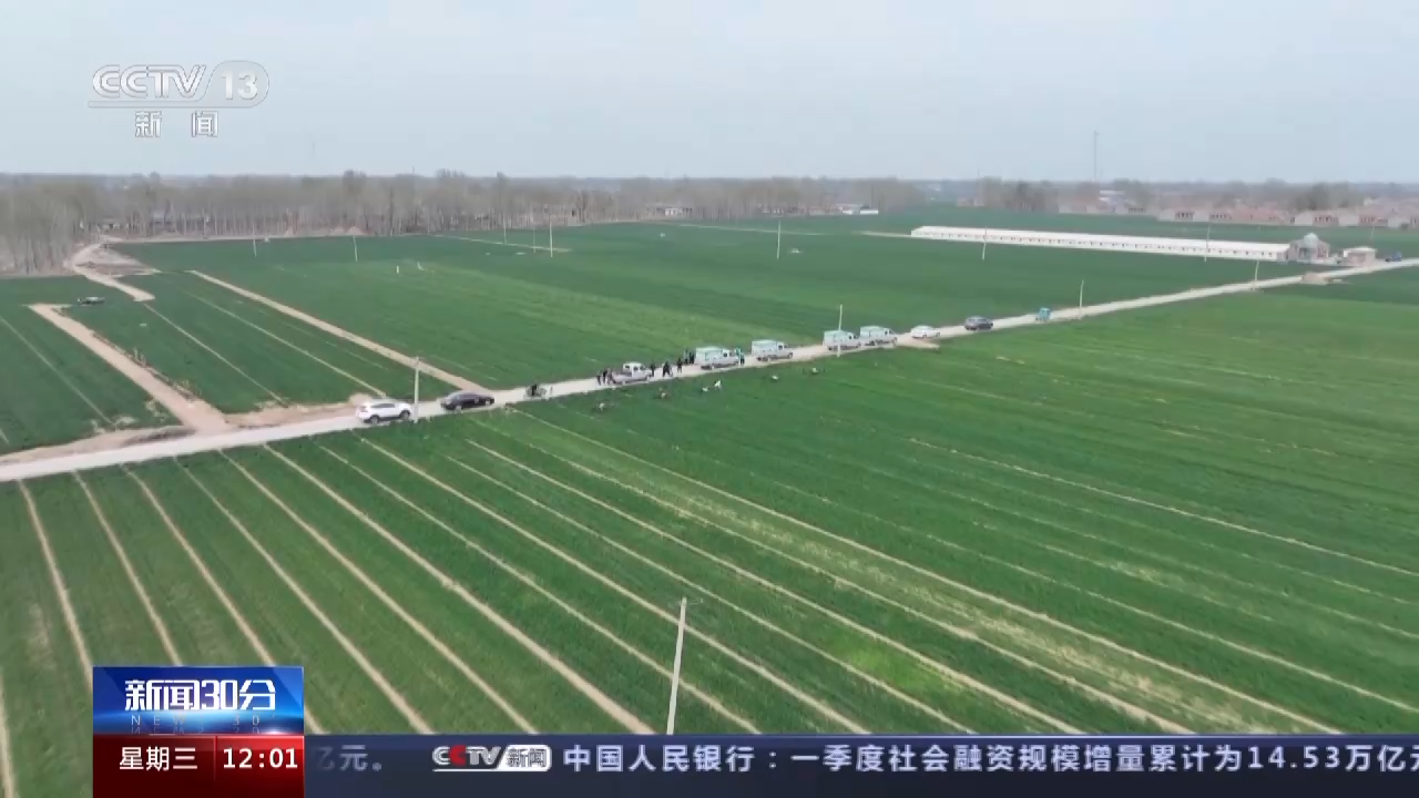 
回龙观医院黄牛代挂号电话票贩子号贩子网上预约挂号,住院检查加快,农业农村部：全国已春播粮食1.2亿亩 早稻育秧基本完成