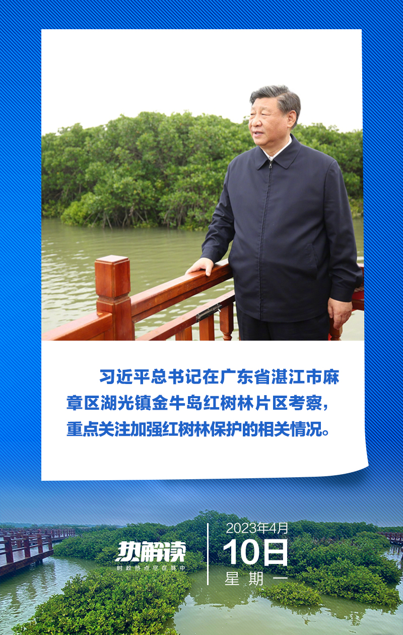 
江苏省中西医结合医院黄牛代挂号电话票贩子号贩子网上预约挂号,住院检查加快,热解读｜红树林边的瞩望
