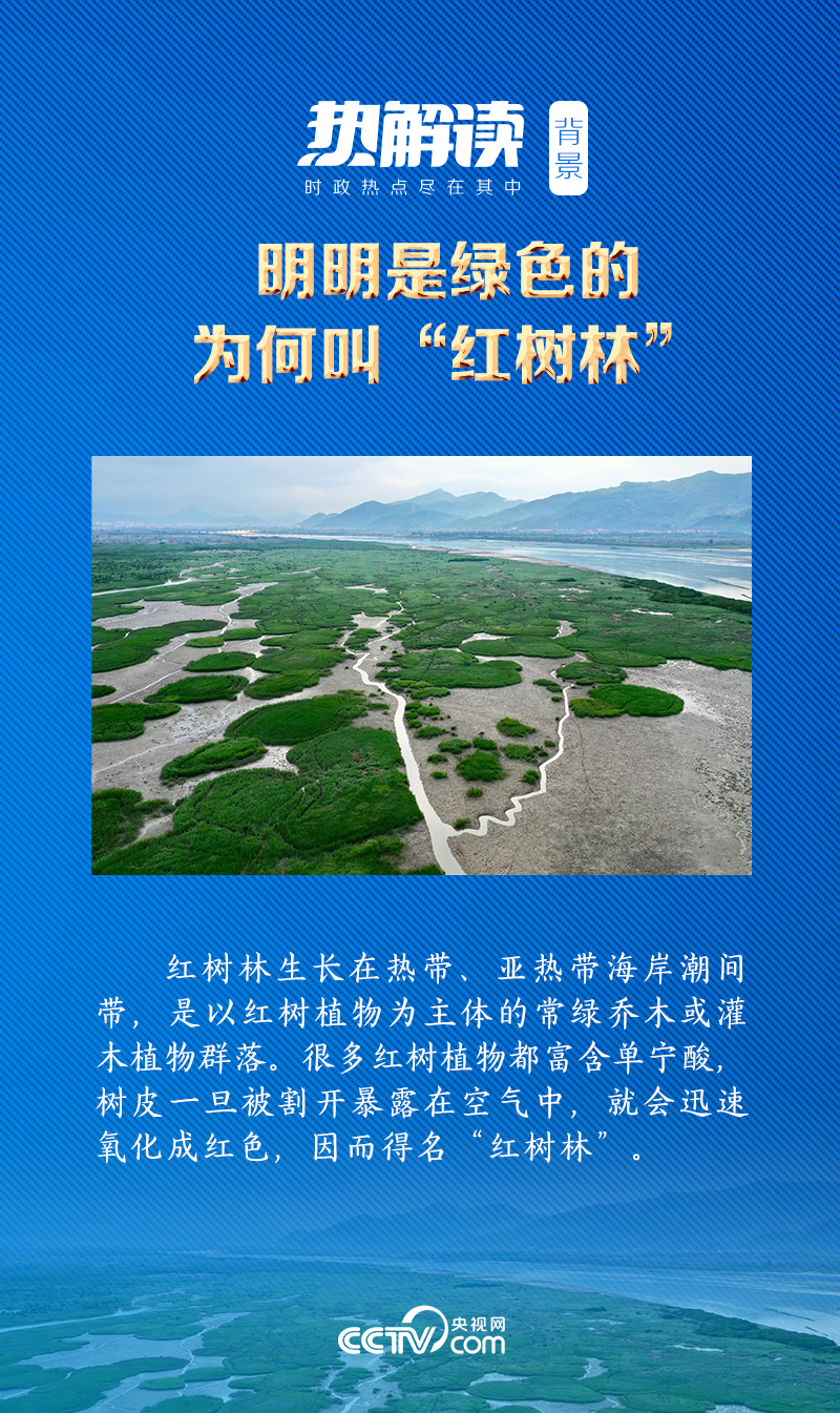 
江苏省中西医结合医院黄牛代挂号电话票贩子号贩子网上预约挂号,住院检查加快,热解读｜红树林边的瞩望