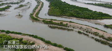 
上海肿瘤医院黄牛代挂号电话票贩子号贩子网上预约挂号,住院检查加快,100秒！带你打卡祖国红树林美景