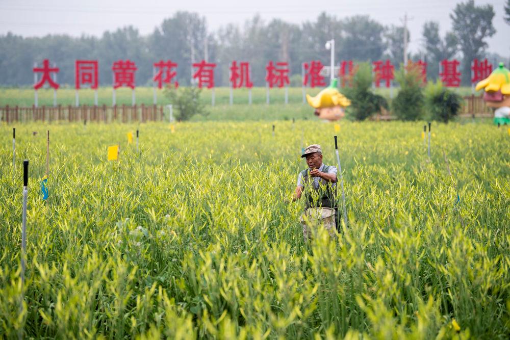 
广州中山眼科医院黄牛代挂号电话票贩子号贩子网上预约挂号,住院检查加快,时政微观察丨总书记多次考察专业合作社，有何深意？