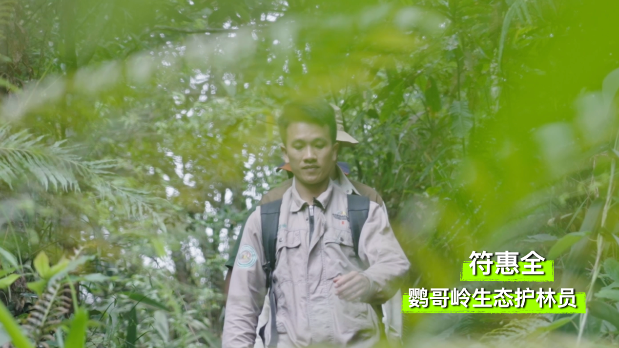 
中国中医科学院广安门医院黄牛代挂号电话票贩子号贩子网上预约挂号,住院检查加快,走！一起探秘国家公园｜雨林万物生