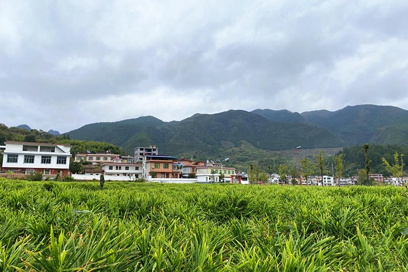 
广州中山眼科医院黄牛代挂号电话票贩子号贩子网上预约挂号,住院检查加快,时政微观察丨总书记多次考察专业合作社，有何深意？