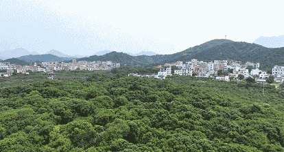 
重庆儿童医院黄牛代挂号电话票贩子号贩子网上预约挂号,住院检查加快,时政微纪录丨习近平总书记广东行