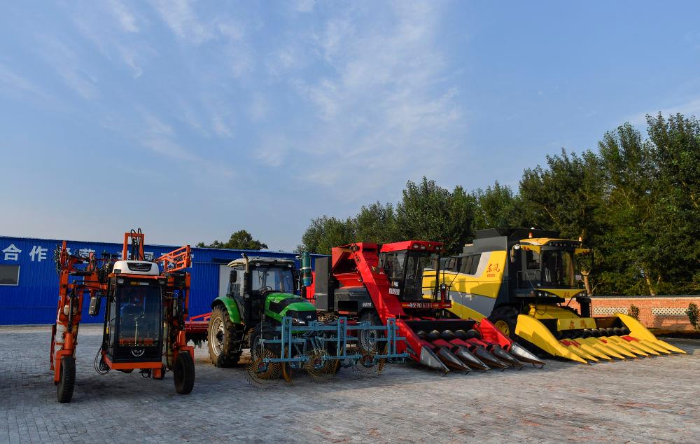 
广州中山眼科医院黄牛代挂号电话票贩子号贩子网上预约挂号,住院检查加快,时政微观察丨总书记多次考察专业合作社，有何深意？