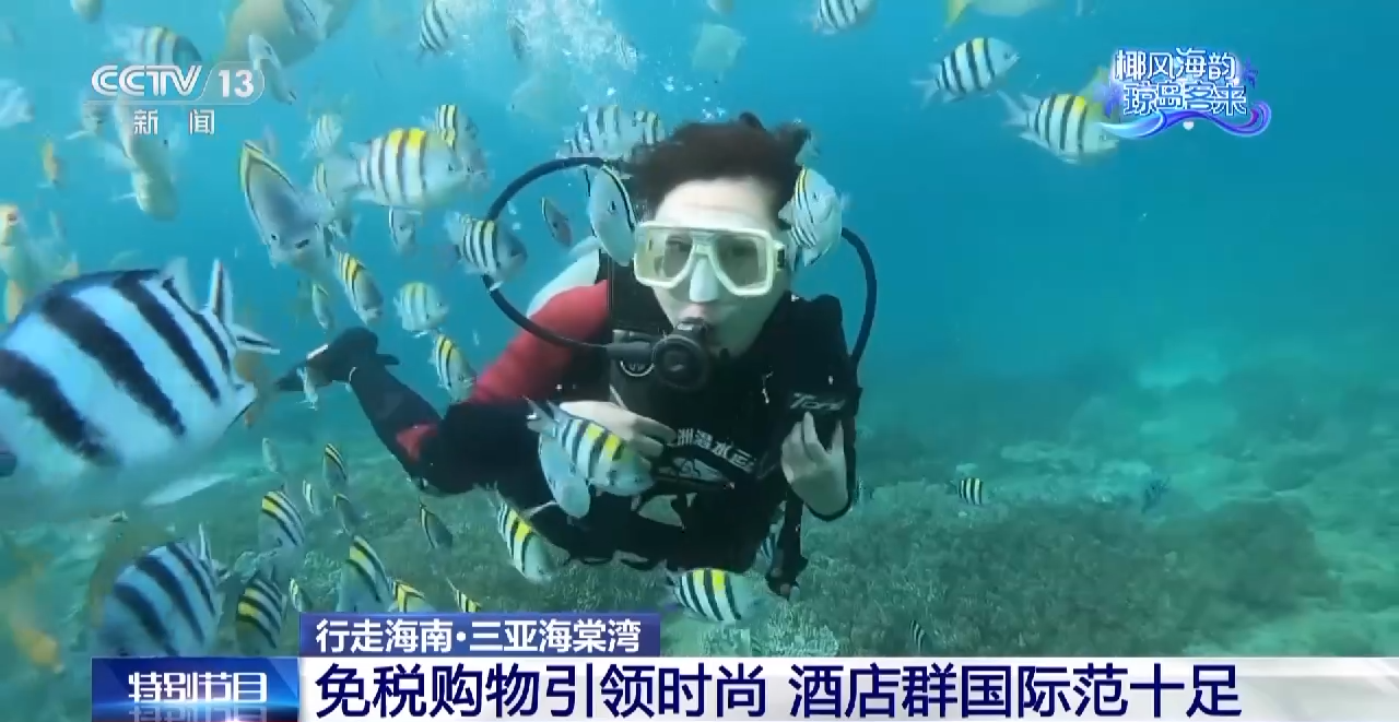 沈阳医大一院黄牛代挂号电话票贩子号贩子网上预约挂号,住院检查加快,美丽海湾、安逸度假、免税购物……行走在海南 处处皆精彩