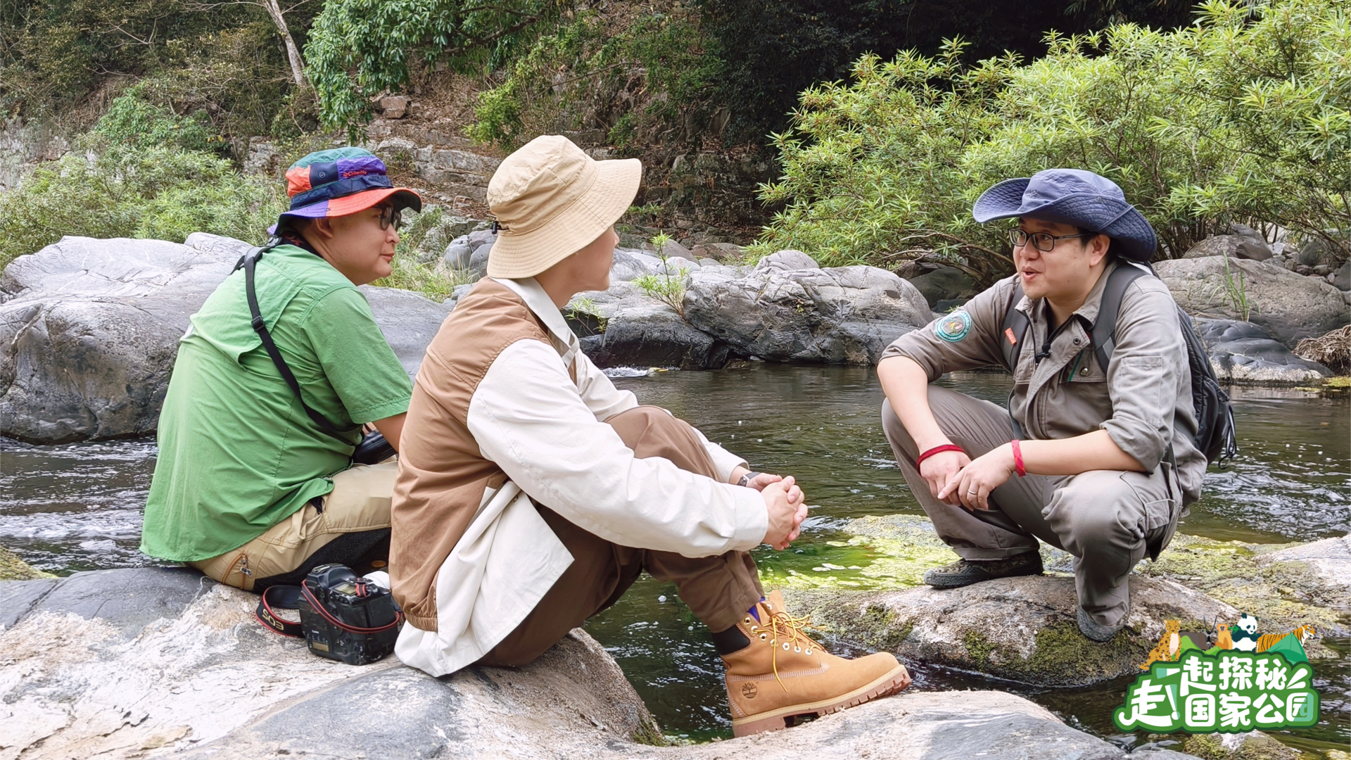 
中国中医科学院广安门医院黄牛代挂号电话票贩子号贩子网上预约挂号,住院检查加快,走！一起探秘国家公园｜雨林万物生