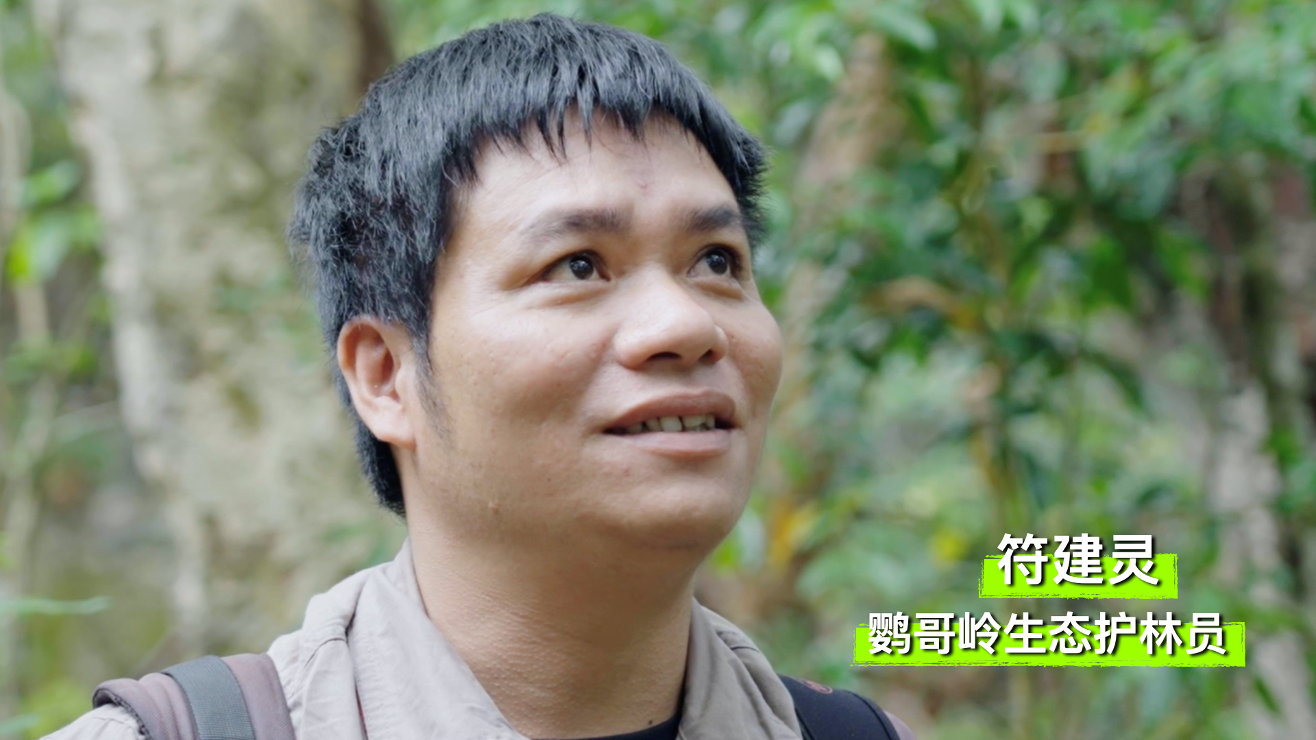 
中国中医科学院广安门医院黄牛代挂号电话票贩子号贩子网上预约挂号,住院检查加快,走！一起探秘国家公园｜雨林万物生