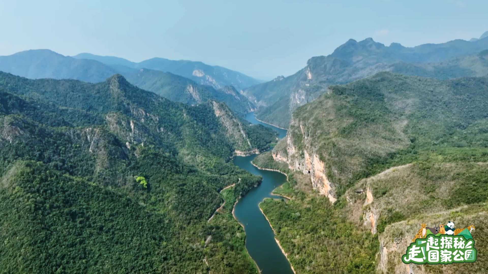 
中国中医科学院广安门医院黄牛代挂号电话票贩子号贩子网上预约挂号,住院检查加快,走！一起探秘国家公园｜雨林万物生