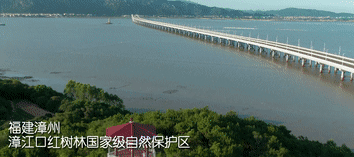 
上海肿瘤医院黄牛代挂号电话票贩子号贩子网上预约挂号,住院检查加快,100秒！带你打卡祖国红树林美景