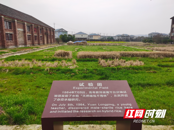 
浙江省人民医院黄牛代挂号电话票贩子号贩子网上预约挂号,住院检查加快,好评中国｜为什么会走进安江农校？