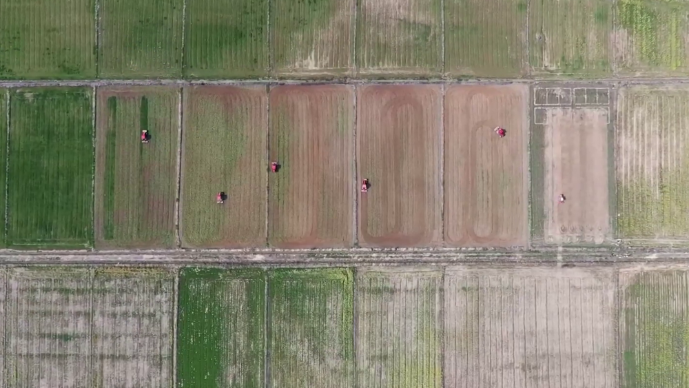 中山二院黄牛代挂号电话票贩子号贩子网上预约挂号,住院检查加快,卫星新闻 | 太空视角看高标准农田里的春耕