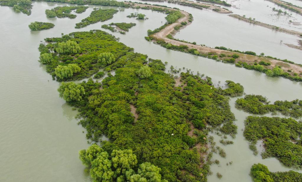 
广州中山一院黄牛代挂号电话票贩子号贩子网上预约挂号,住院检查加快,“在推进中国式现代化建设中走在前列”——习近平总书记考察广东纪实