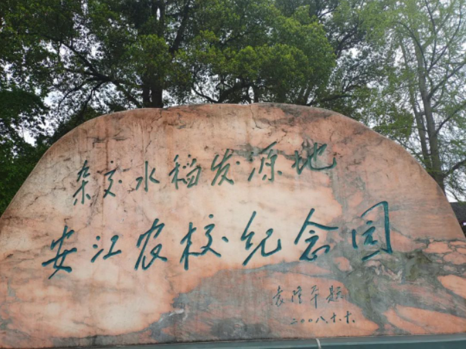 
浙江省人民医院黄牛代挂号电话票贩子号贩子网上预约挂号,住院检查加快,好评中国｜为什么会走进安江农校？