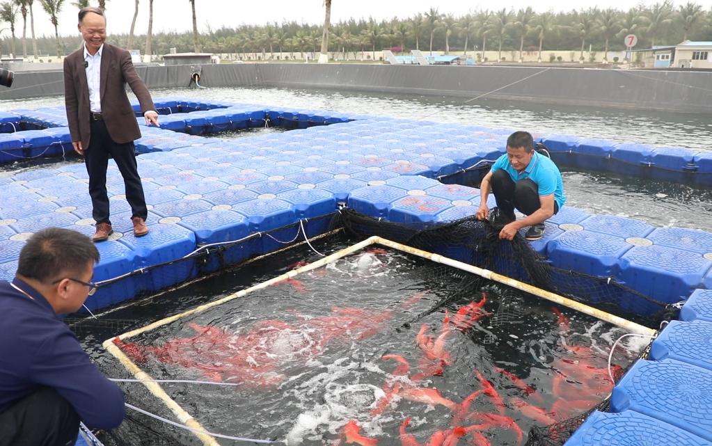 
江苏省中西医结合医院黄牛代挂号电话票贩子号贩子网上预约挂号,住院检查加快,在推进中国式现代化建设中走在前列——习近平总书记广东考察回访