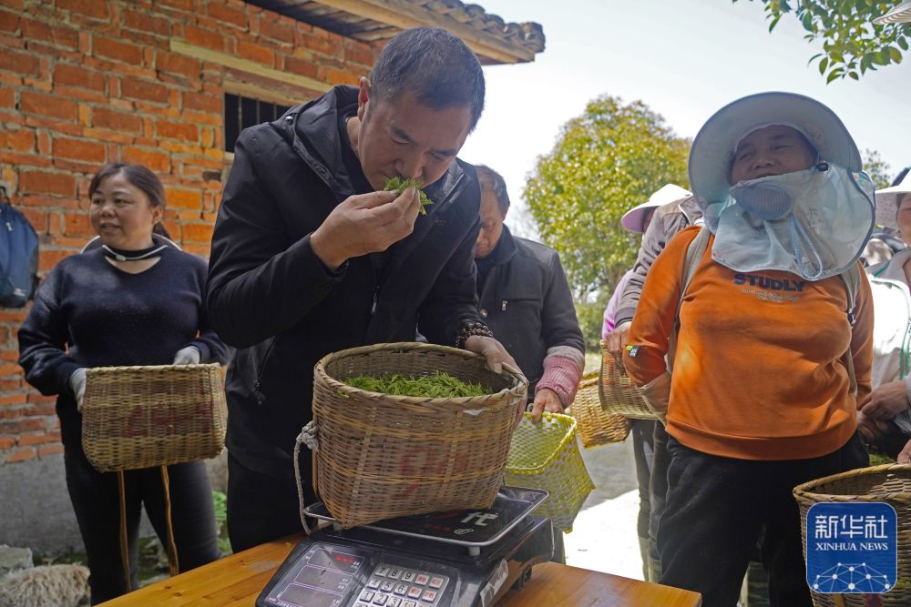 
上海眼耳鼻喉科医院黄牛代挂号电话票贩子号贩子网上预约挂号,住院检查加快,四季中国｜港背村的“新田园梦”