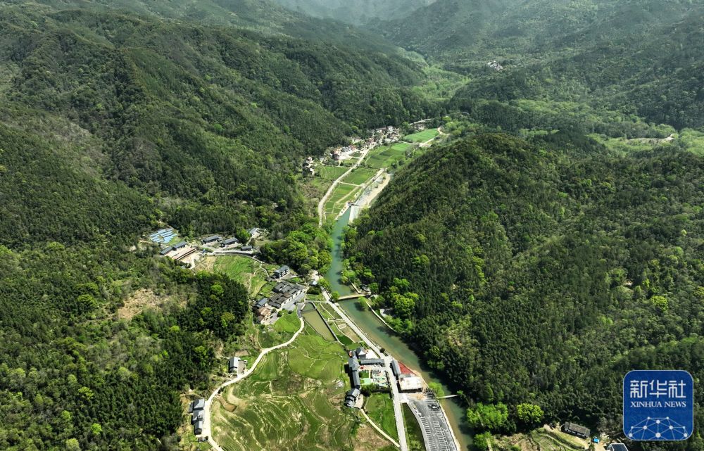 
上海眼耳鼻喉科医院黄牛代挂号电话票贩子号贩子网上预约挂号,住院检查加快,四季中国｜港背村的“新田园梦”