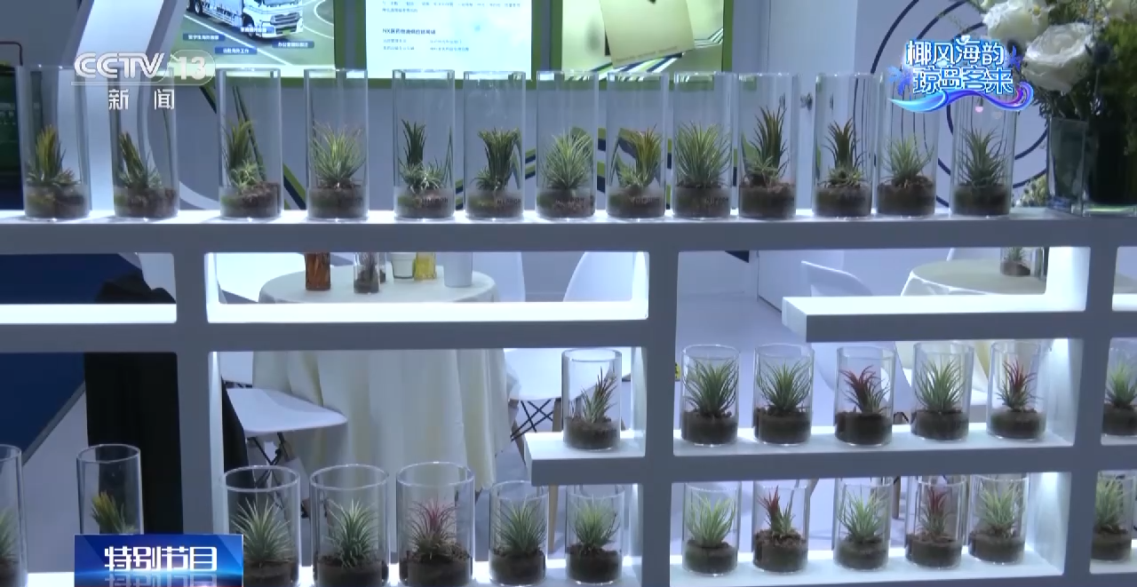 
北京儿童医院黄牛代挂号电话票贩子号贩子网上预约挂号,住院检查加快,低碳生活新体验 “绿色+可持续”成为消博会靓丽底色