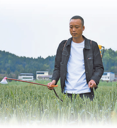 
东部战区总医院黄牛代挂号电话票贩子号贩子网上预约挂号,住院检查加快,农业保险织就“保障网”（财经眼·财税金融加力助春耕③）