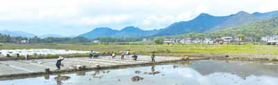 
东部战区总医院黄牛代挂号电话票贩子号贩子网上预约挂号,住院检查加快,农业保险织就“保障网”（财经眼·财税金融加力助春耕③）