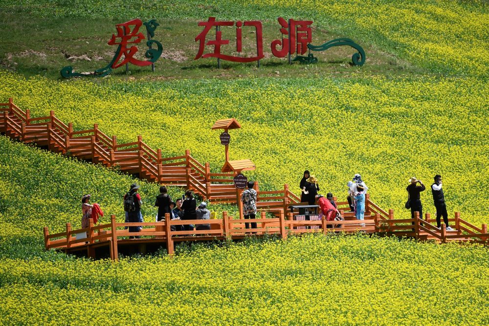 
广州市第一人民医院黄牛代挂号电话票贩子号贩子网上预约挂号,住院检查加快,新时代新征程新伟业·全国两会精神看落实|青海：以特色产业助力高质量发展