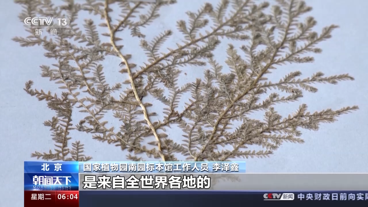 
北京儿童医院黄牛代挂号电话票贩子号贩子网上预约挂号,住院检查加快,我国首个国家植物园设立一周年 植物保护收集取得新进展