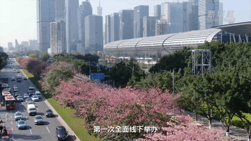 
杭州各大医院黄牛代挂号电话票贩子号贩子网上预约挂号,住院检查加快,新华全媒+丨广交会：连接广阔市场 外商共享中国机遇