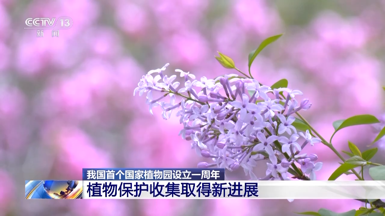 
北京儿童医院黄牛代挂号电话票贩子号贩子网上预约挂号,住院检查加快,我国首个国家植物园设立一周年 植物保护收集取得新进展