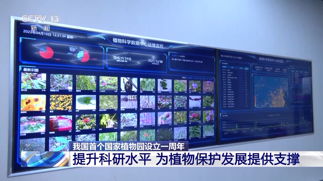 
北京儿童医院黄牛代挂号电话票贩子号贩子网上预约挂号,住院检查加快,我国首个国家植物园设立一周年 植物保护收集取得新进展