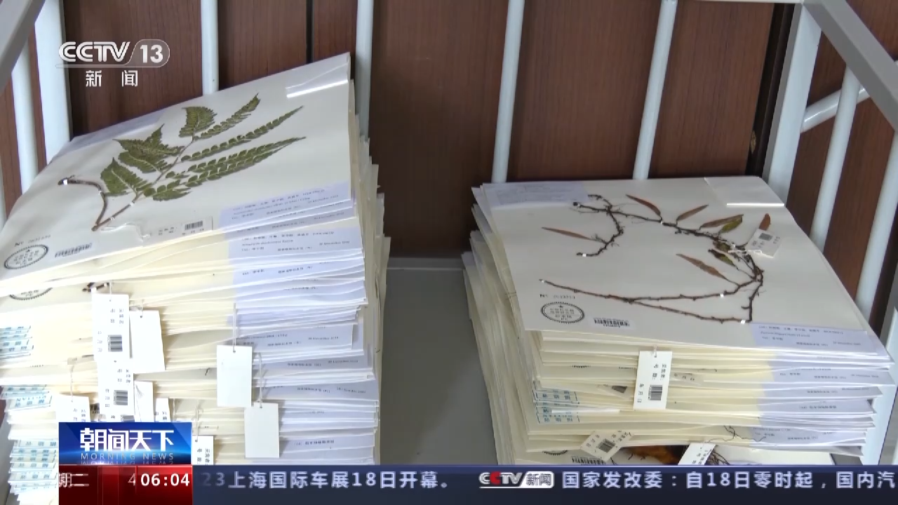 
北京儿童医院黄牛代挂号电话票贩子号贩子网上预约挂号,住院检查加快,我国首个国家植物园设立一周年 植物保护收集取得新进展