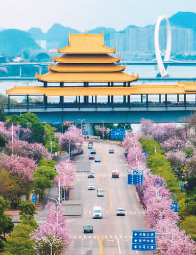 
广州口腔医院黄牛代挂号电话票贩子号贩子网上预约挂号,住院检查加快,打造森林“四库” 绘出美丽中国的更新画卷