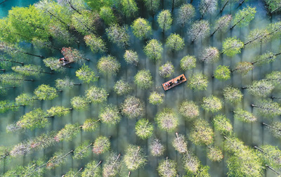 
广州口腔医院黄牛代挂号电话票贩子号贩子网上预约挂号,住院检查加快,打造森林“四库” 绘出美丽中国的更新画卷