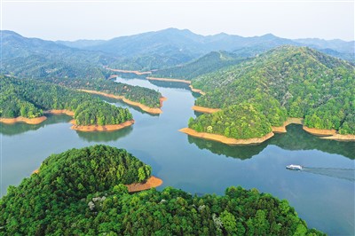 
广州口腔医院黄牛代挂号电话票贩子号贩子网上预约挂号,住院检查加快,打造森林“四库” 绘出美丽中国的更新画卷